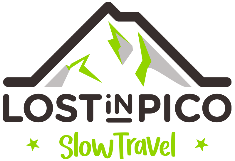 Lost in Pico logo